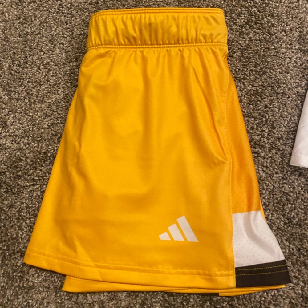Adidas Golden Yellow Sports Shorts